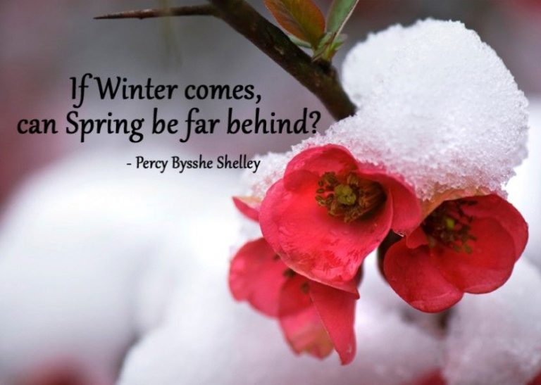 When Winter Comes, can Spring be far behinde? Portlaoise Parish